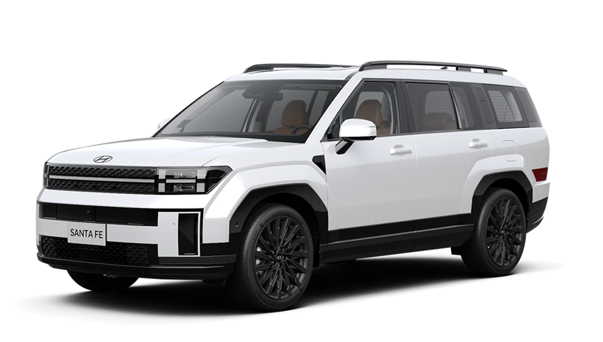 Hyundai Santafe Đồng Nai