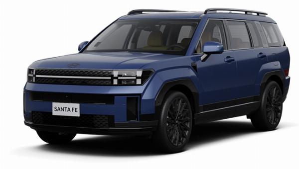 Hyundai Santafe Đồng Nai